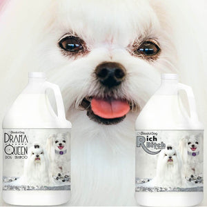 maltese drama queen dog shampoo