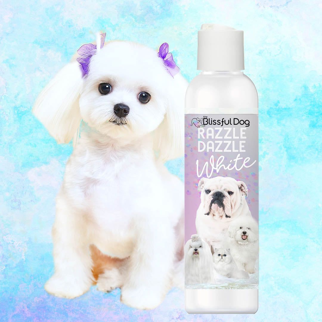 Best whitening cheap shampoo for maltese