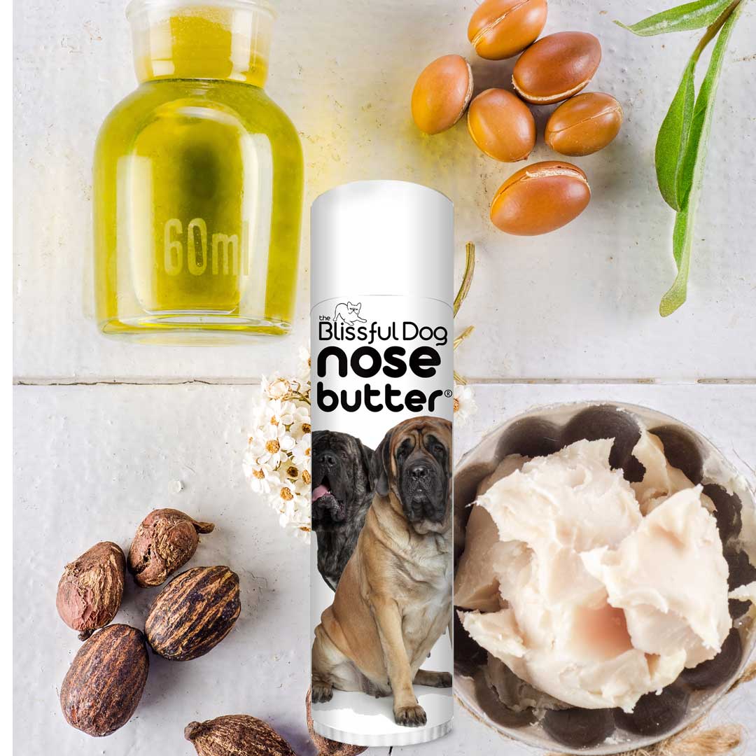 Shea butter online for dogs nose