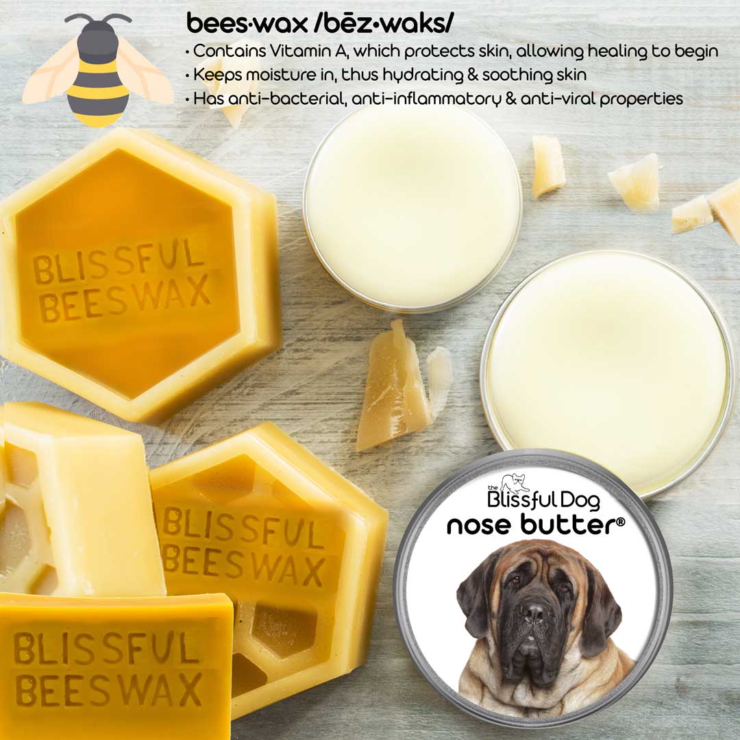 Mastiff Nose is Crusty