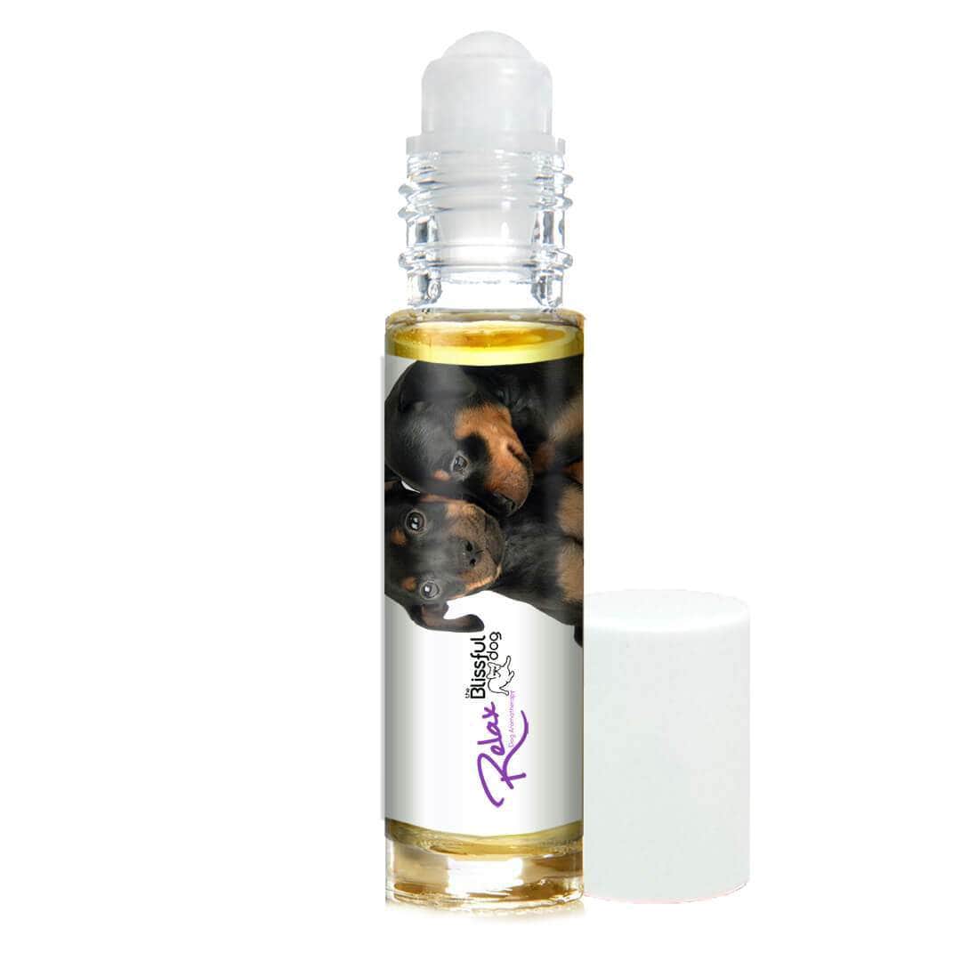 Miniature Pinscher Relax Dog Aromatherapy