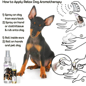 Miniature Pinscher Relax Dog Aromatherapy