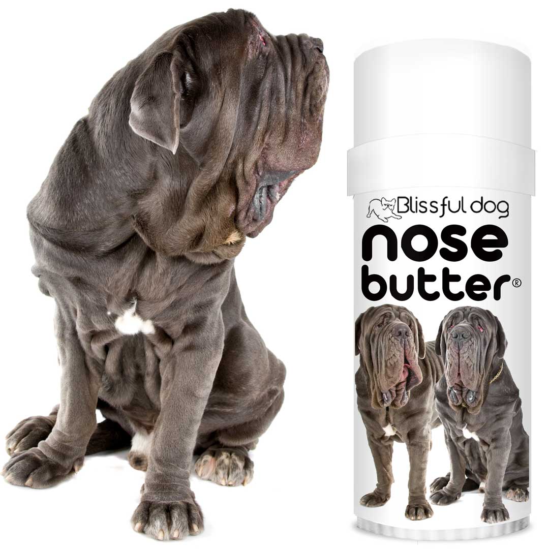 italian mastiff nose butter