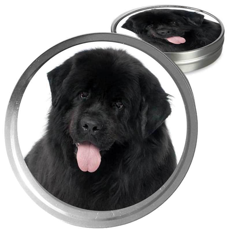 Newfoundland dog outlet items