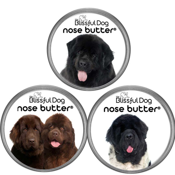 Best shampoo for newfoundland dogs best sale