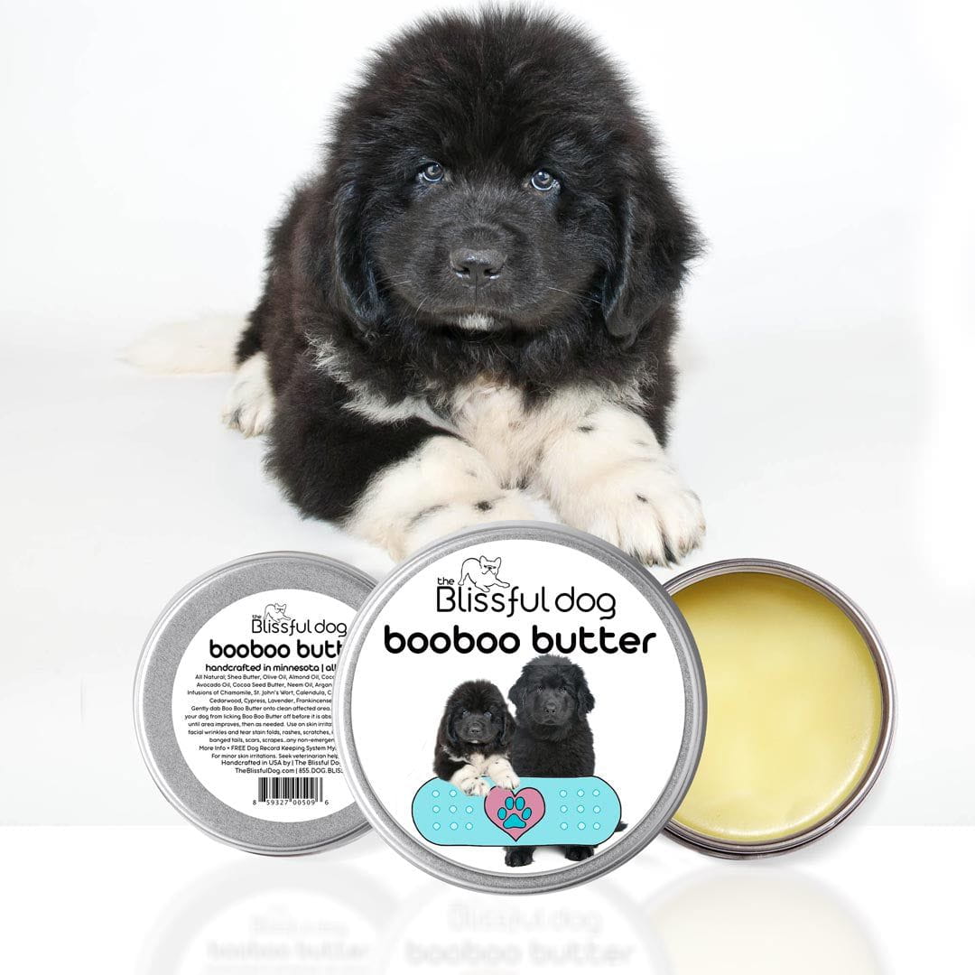 Newfoundland grooming kit discount