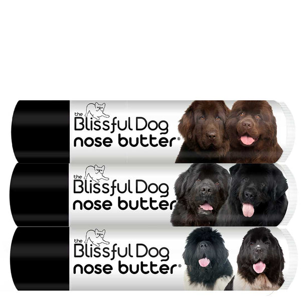 Newfoundland Nose Butter for Your Newfie Dog's Rough, Dry Dog Nose
