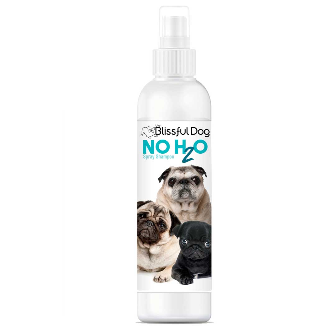 dog travel shampoo