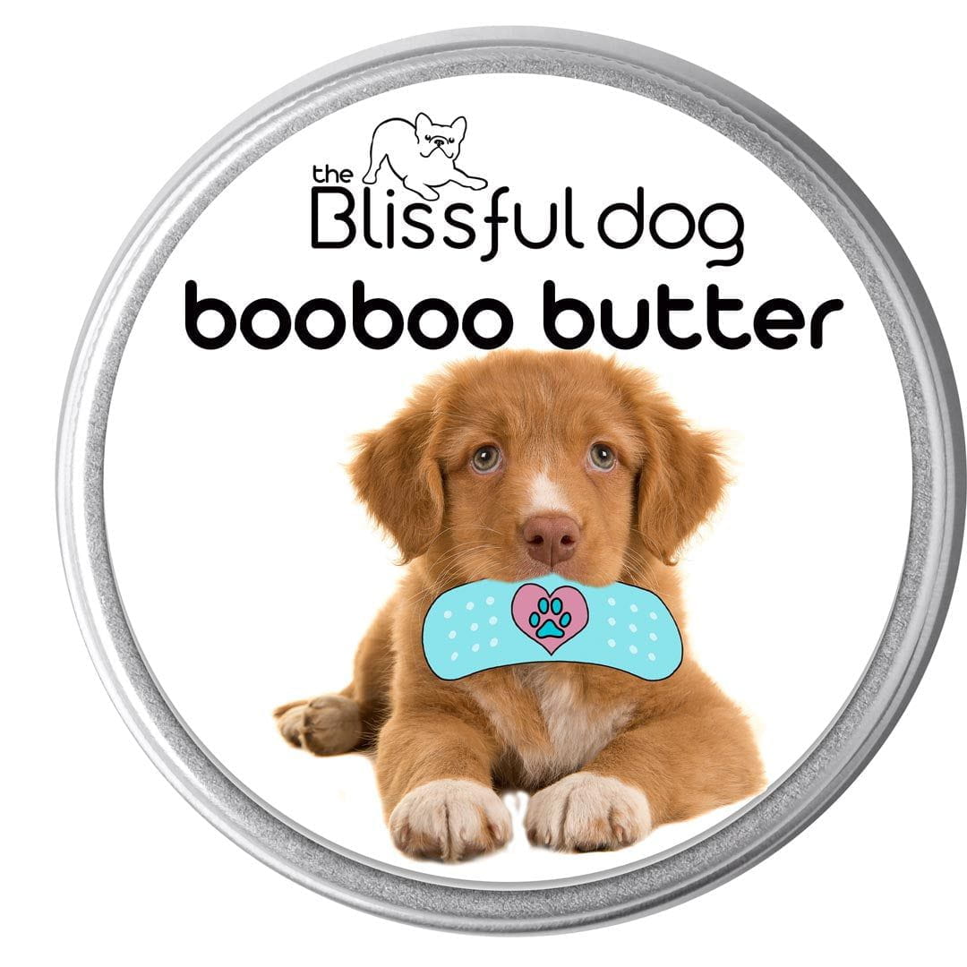 Nova scotia duck tolling shop retriever stuffed animal