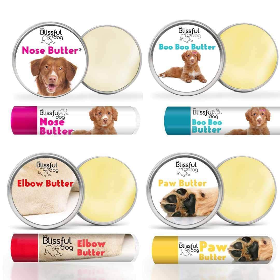 Nova Scotia Duck Tolling Retriever Custom Combo