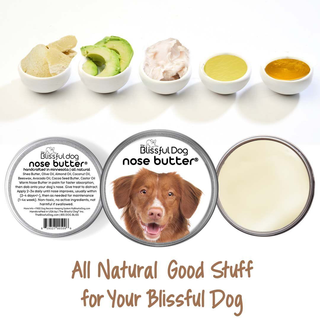 nova scotia duck tolling retriever has dry nose