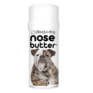 Olde English Bulldogge Nose Treatment