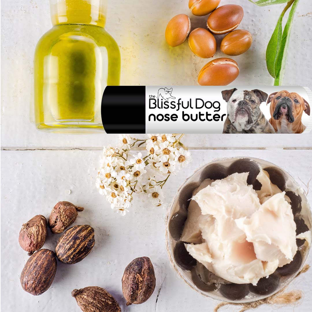 Shea butter online for dogs nose