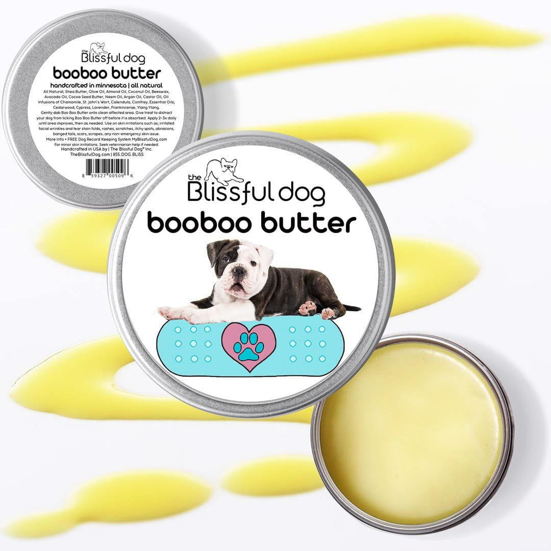 Olde English Bulldogge skin care