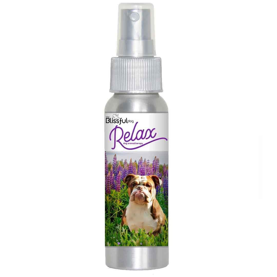 Olde English Bulldogge calming spray
