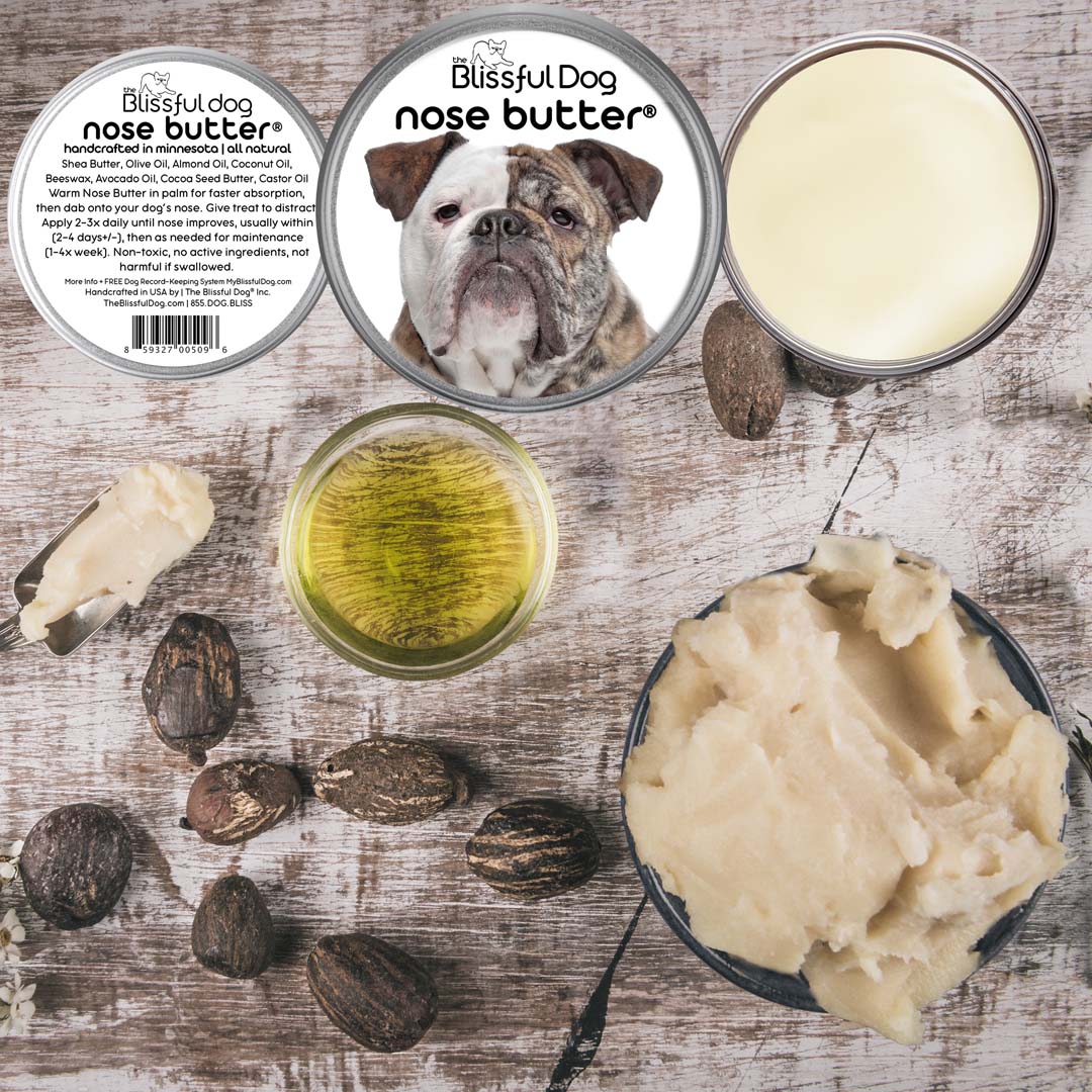 Olde English Bulldogge Nose care