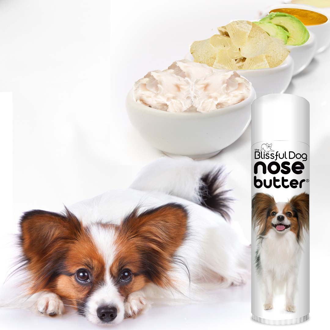 Bulldog Nose Butter Moisturizer for Your Bulldog's Rough, Dry Nose