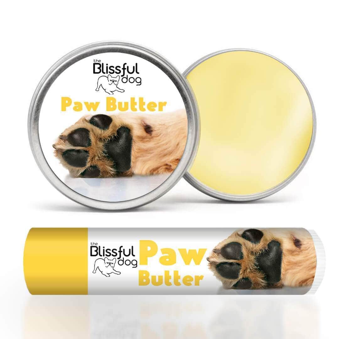Chapstick for 2025 dog paws