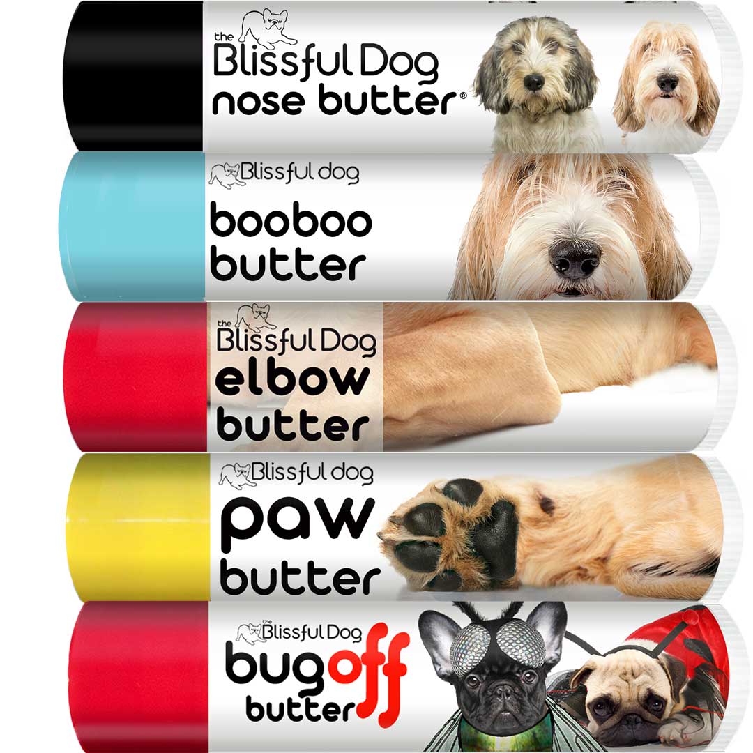 Petit Basset Vendome Tube Combo