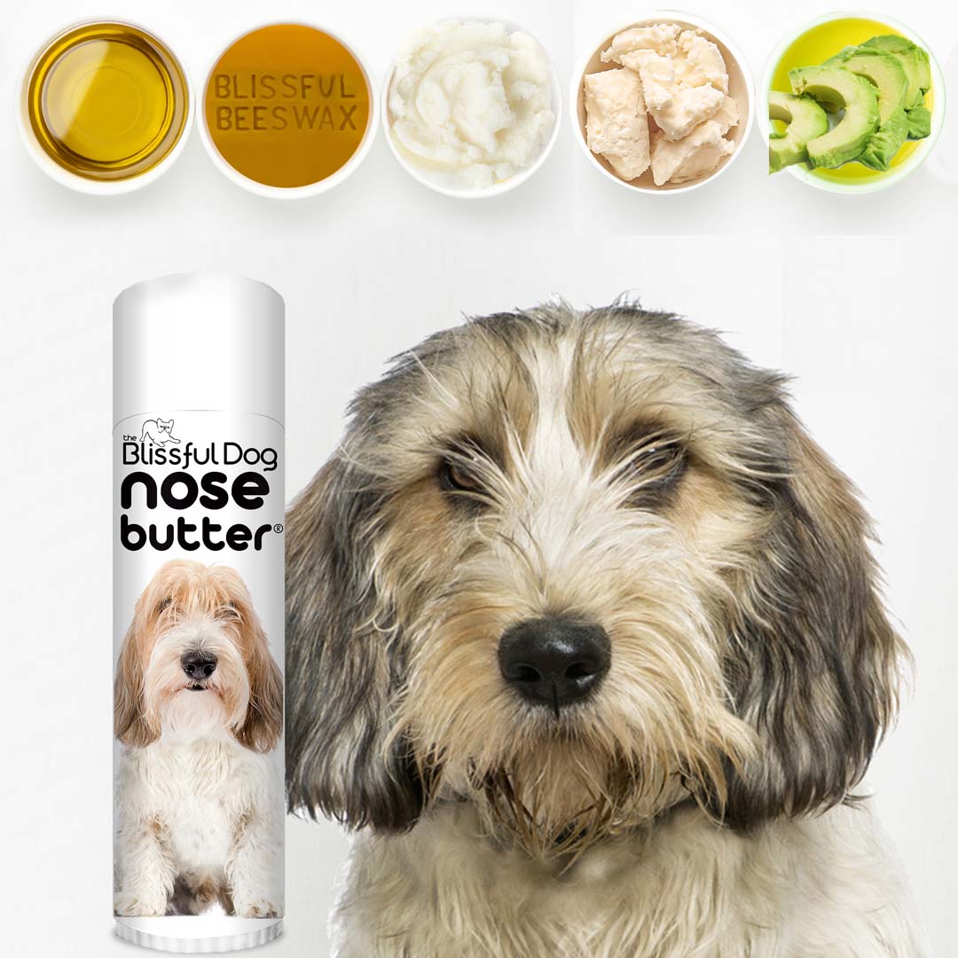 Petit Basset Griffon Vendéen nose moisturizing