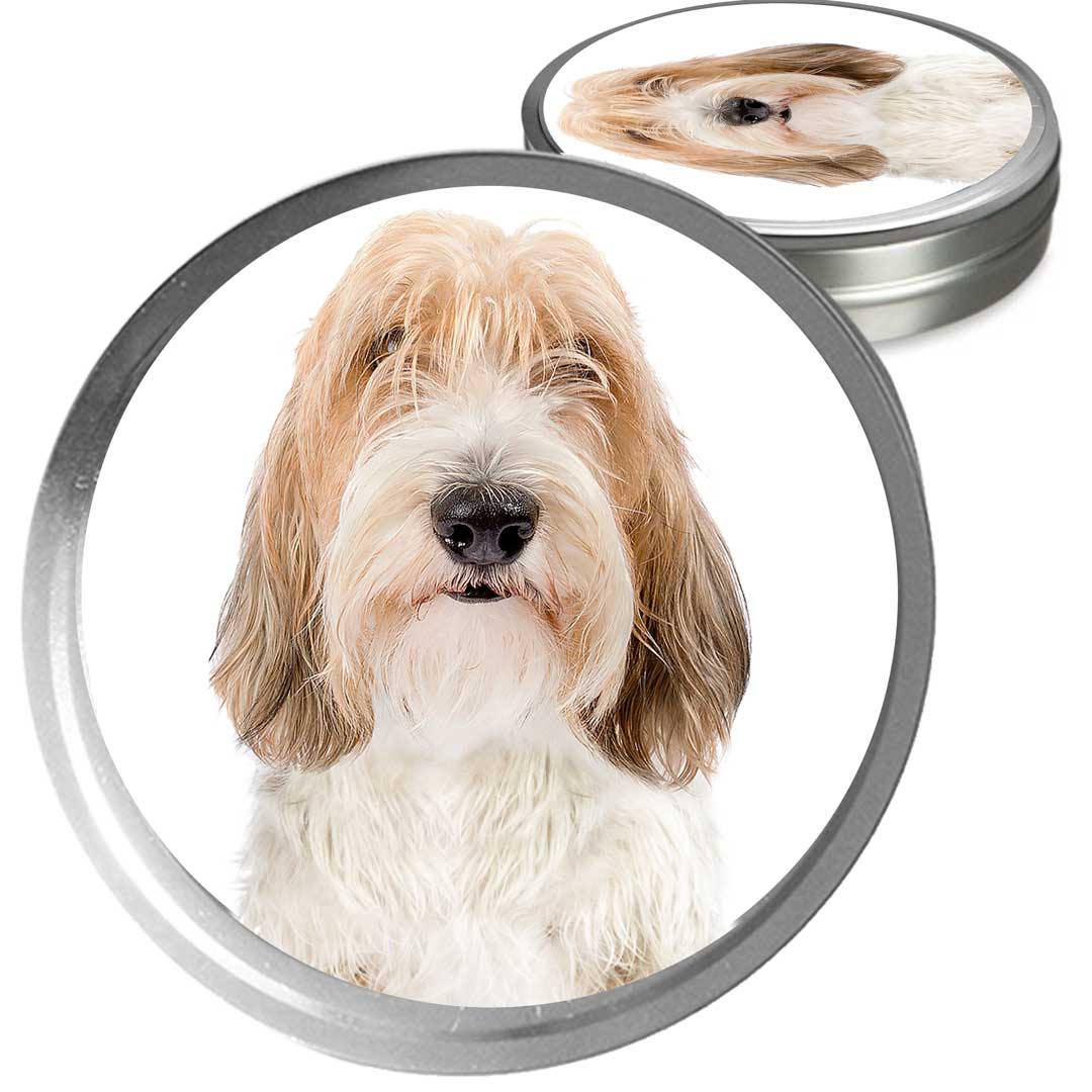 Petit Vendome Basset Grisson Custom Combo