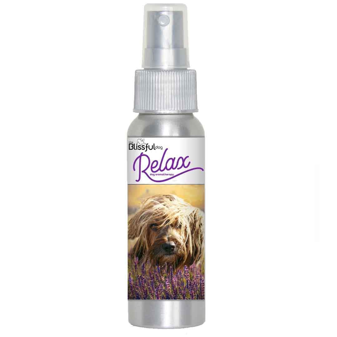 Petit Basset Griffon Vendéen calming spray