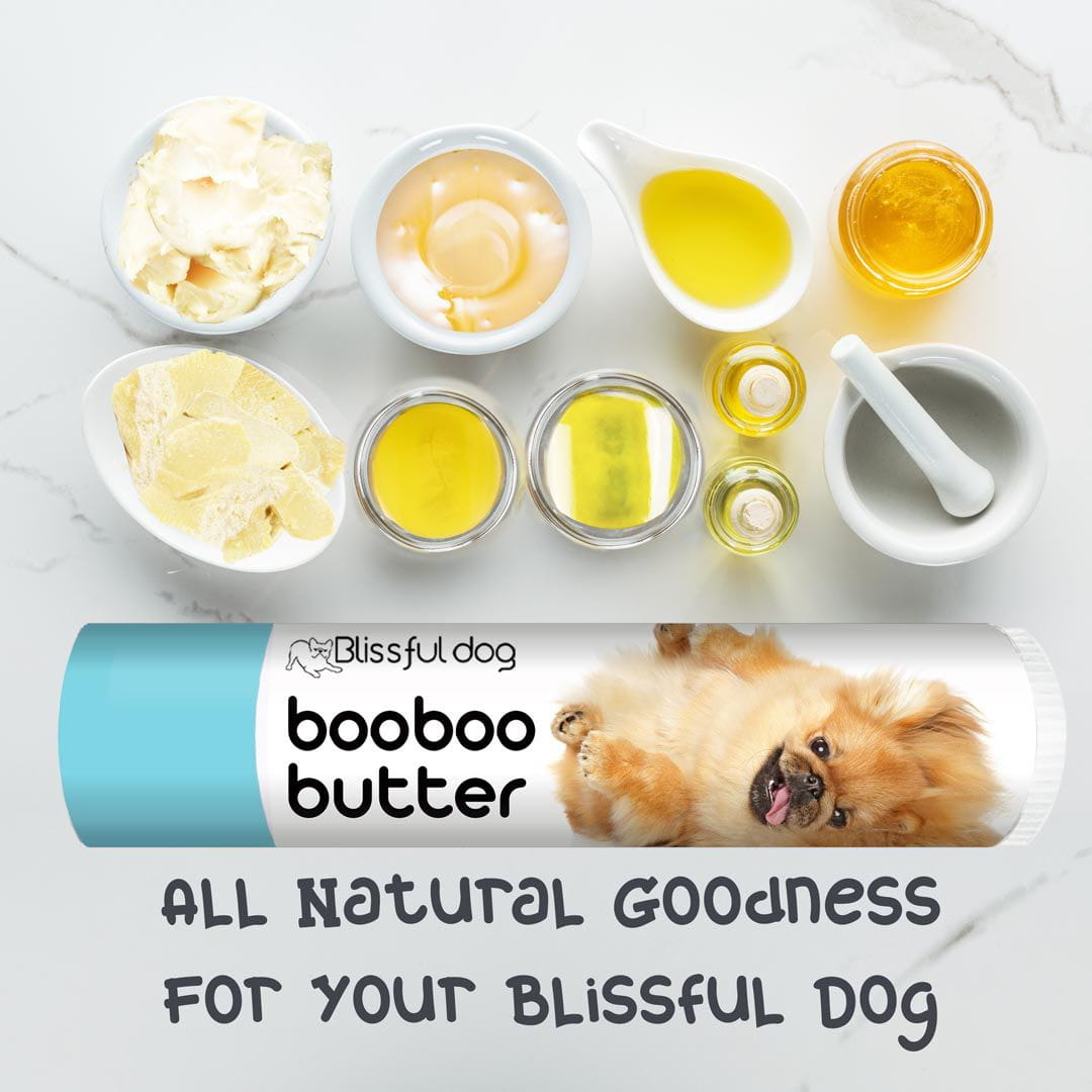 grooming your pekingese