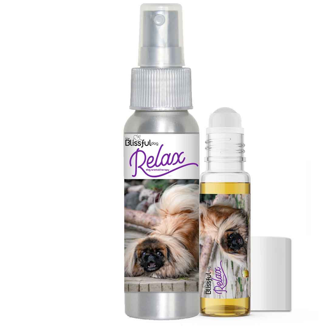 pekingese dog aromatherapy