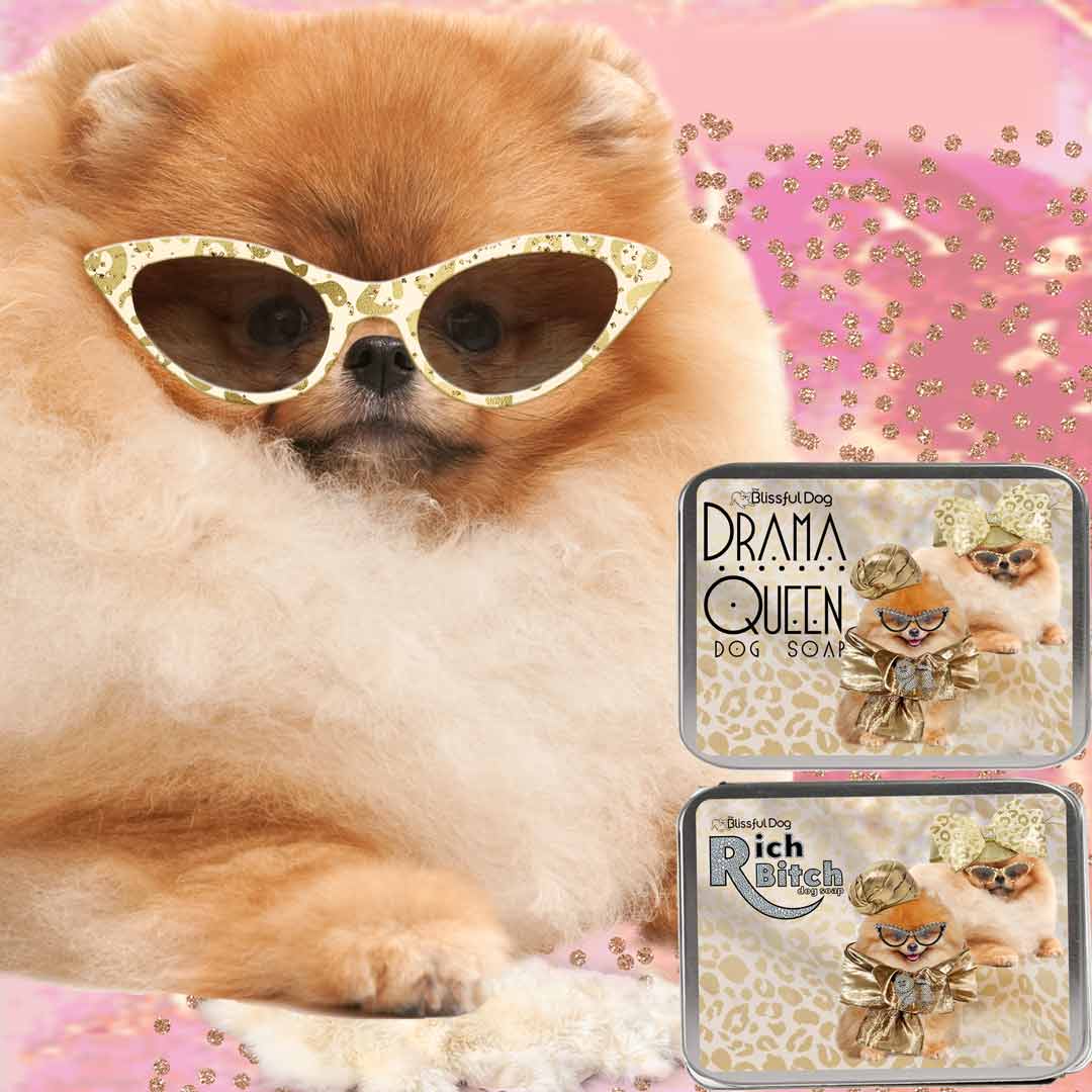 Pomeranian dog sales soap