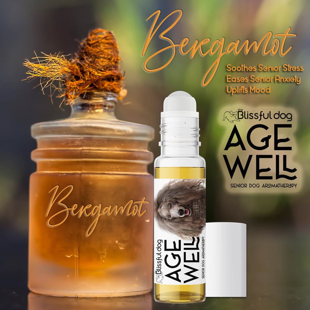 age well poodle aromatherapy