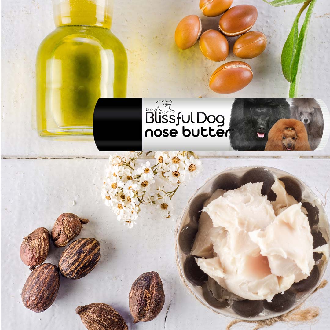 poodle nose moisturizer