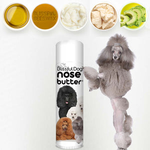 poodle nose moisturizer