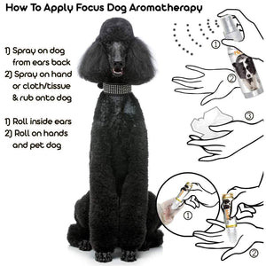 Poodle Focus Dog Aromatherapy