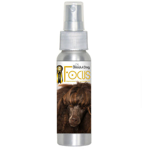 poodle focus dog aromatherapy spray