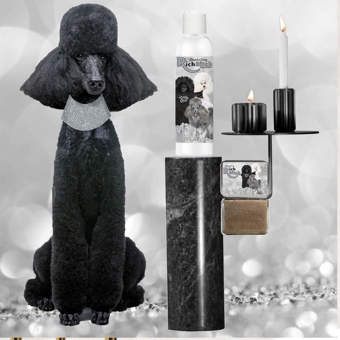 Best shampoo for standard poodles online