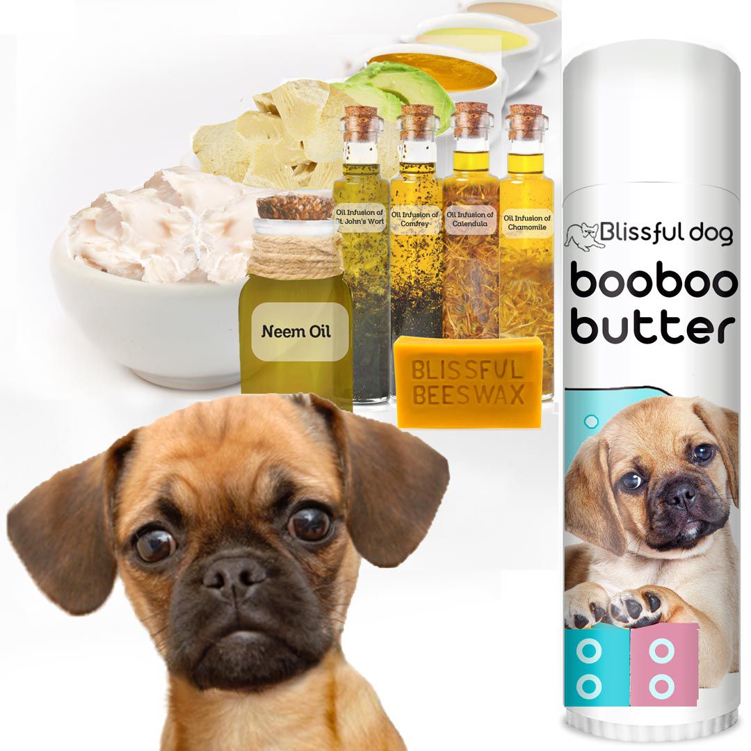 Best dog hot sale food for puggles
