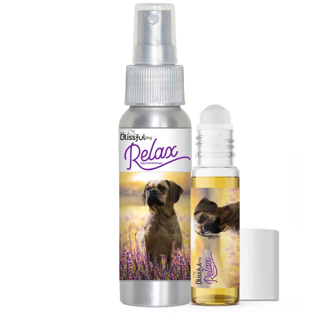 Puggle scared thunder