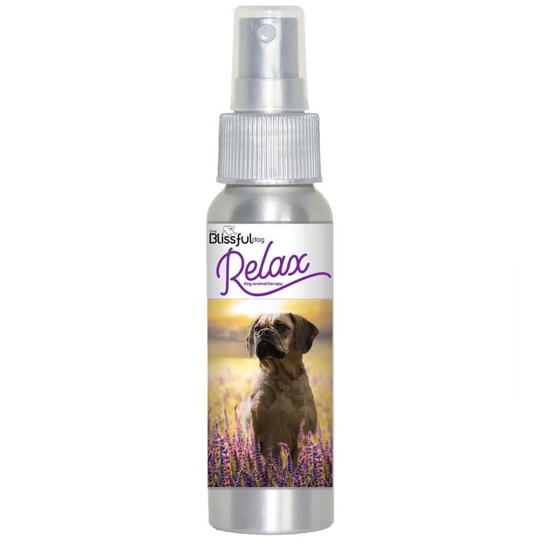 Puggle calming spray