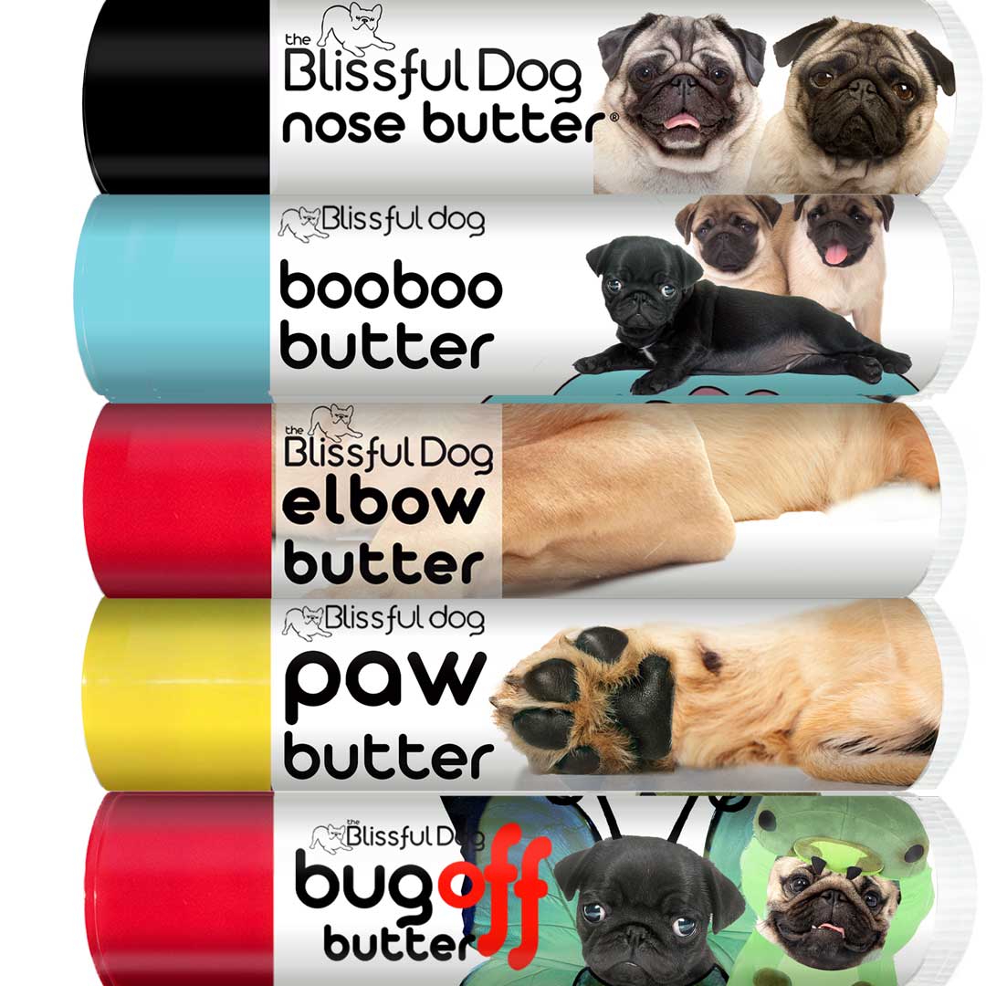Pug Skin Care Made Easy by The Blissful Dog