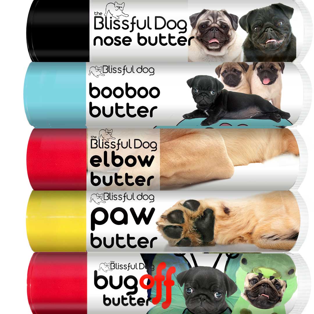 化粧下地 PUG PUG_15TUBE_COMBO_REV_PUG_BLK_F