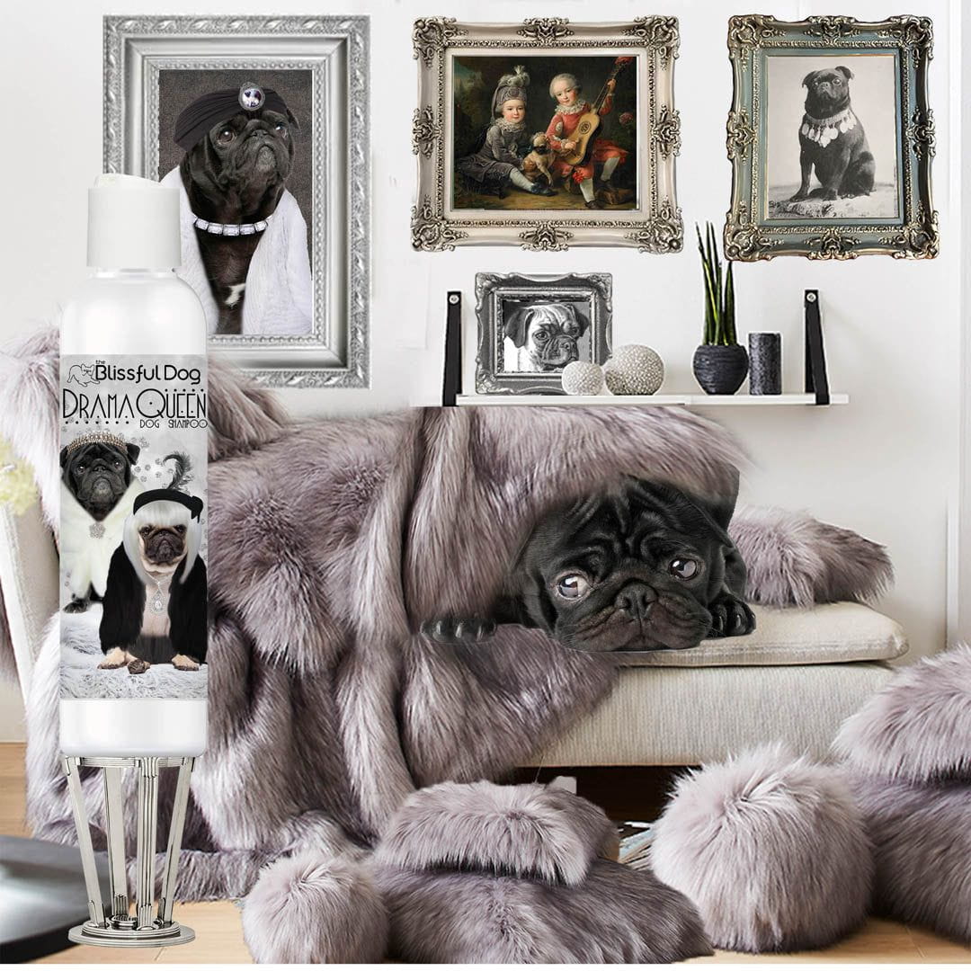 Pug moisturizing shampoo