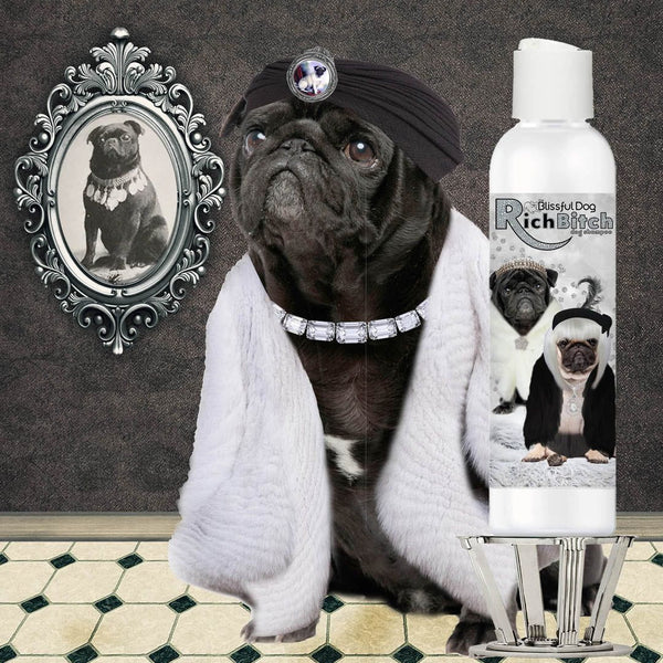 Best shampoo 2025 for pugs