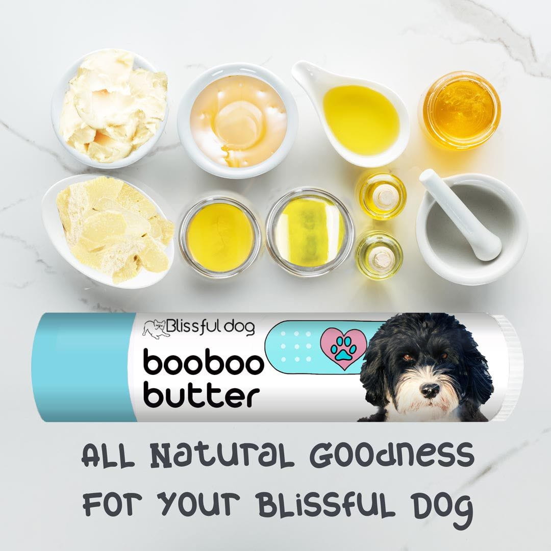 Portuguese Water Dog Custom Combo