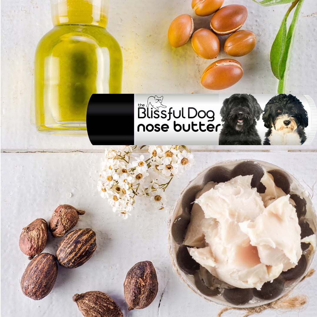 Dogs and shea butter shop