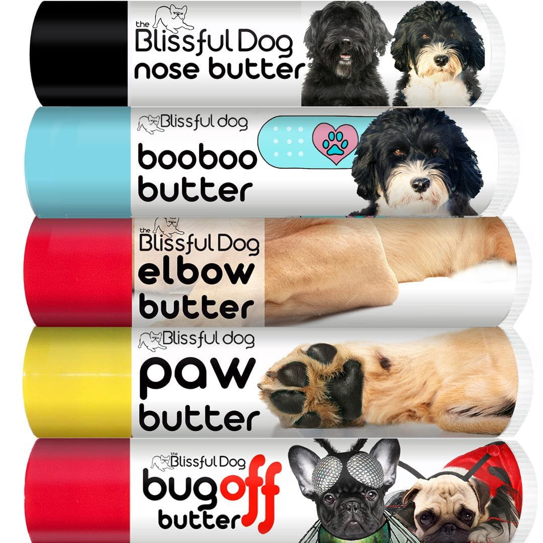 portuguese water dog grooming