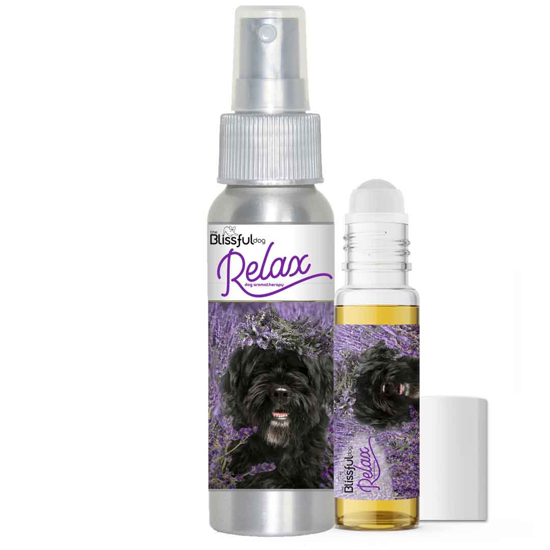 Portuguese Water Dog Relax Dog Aromatherapy