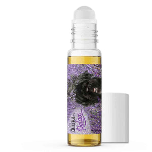 Portuguese Water Dog Relax Dog Aromatherapy