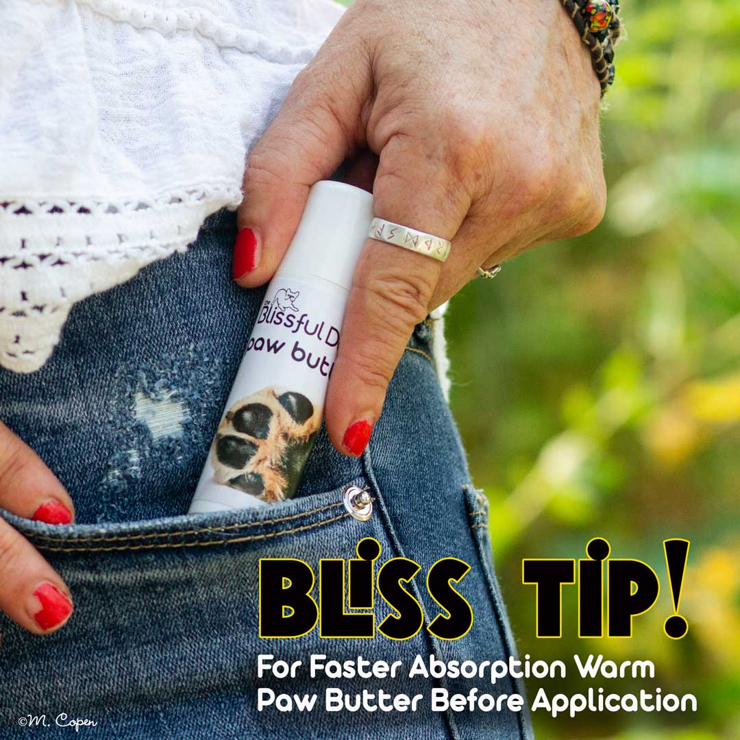 Doberman Pinscher Tube Combo