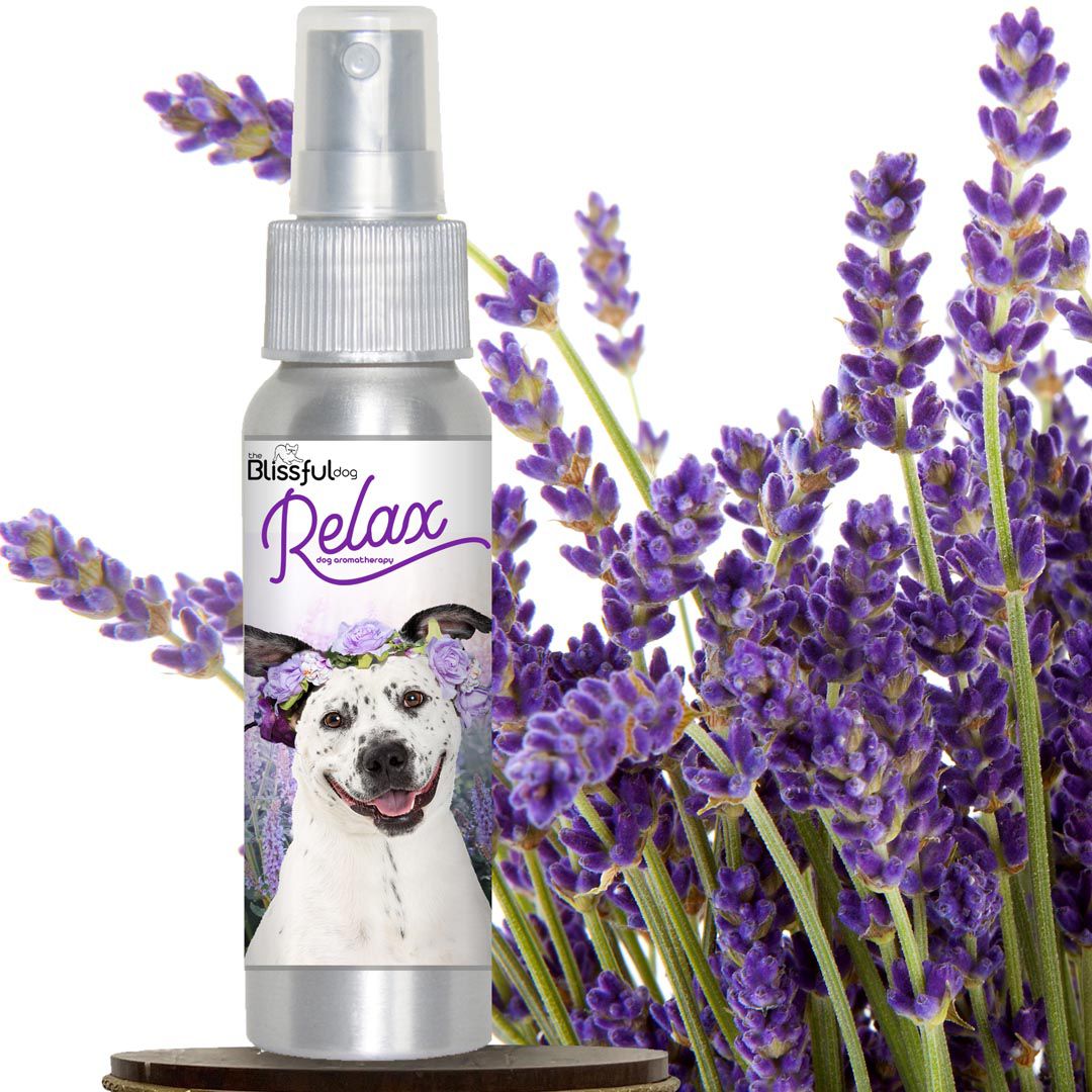 Dog aromatherapy outlet spray