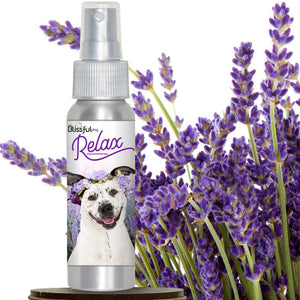 relax dog spray aromatherapy
